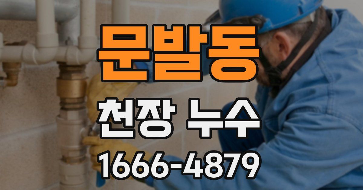 문발동 천장 누수