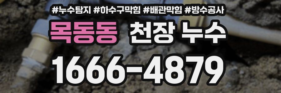 목동동 천장 누수