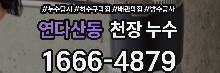 연다산동 천장 누수