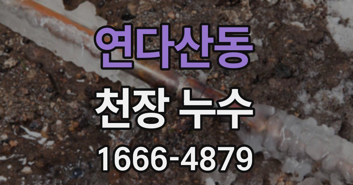연다산동 천장 누수