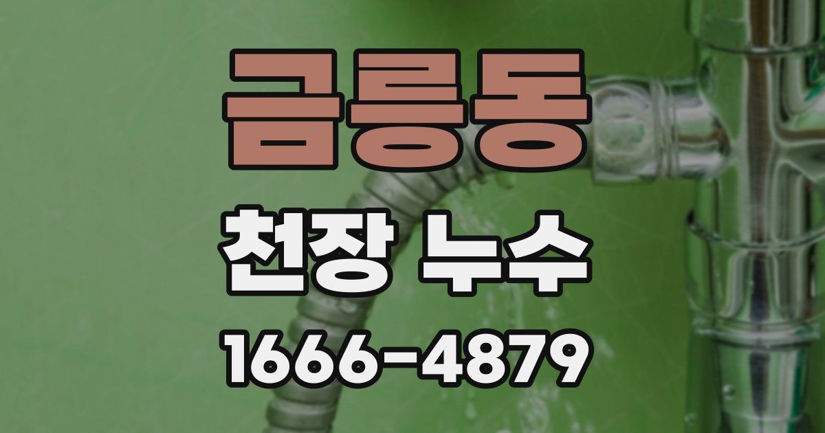 금릉동 천장 누수