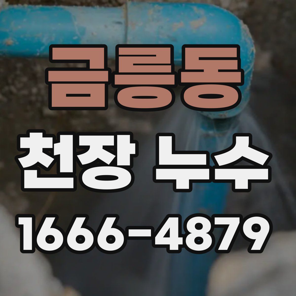 금릉동 천장 누수