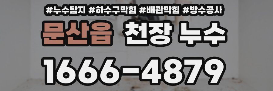 문산읍 천장 누수