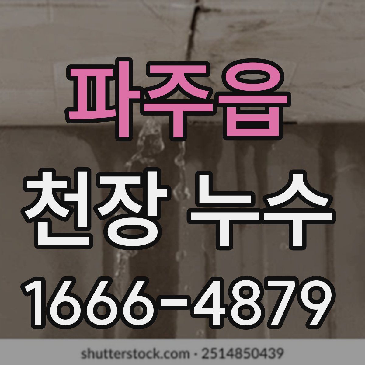 파주읍 천장 누수