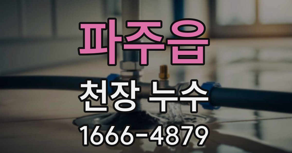 파주읍 천장 누수