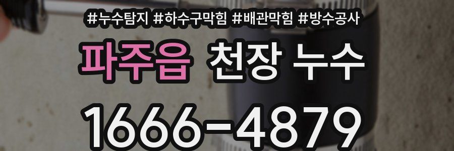 파주읍 천장 누수