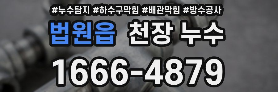 법원읍 천장 누수