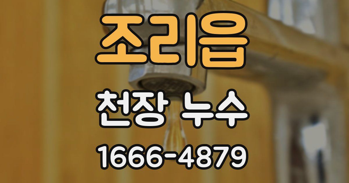 조리읍 천장 누수