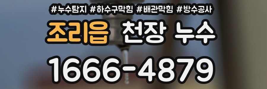 조리읍 천장 누수