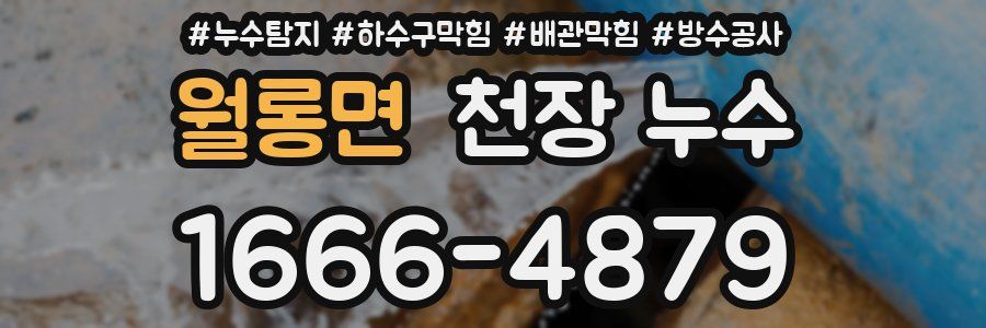 월롱면 천장 누수