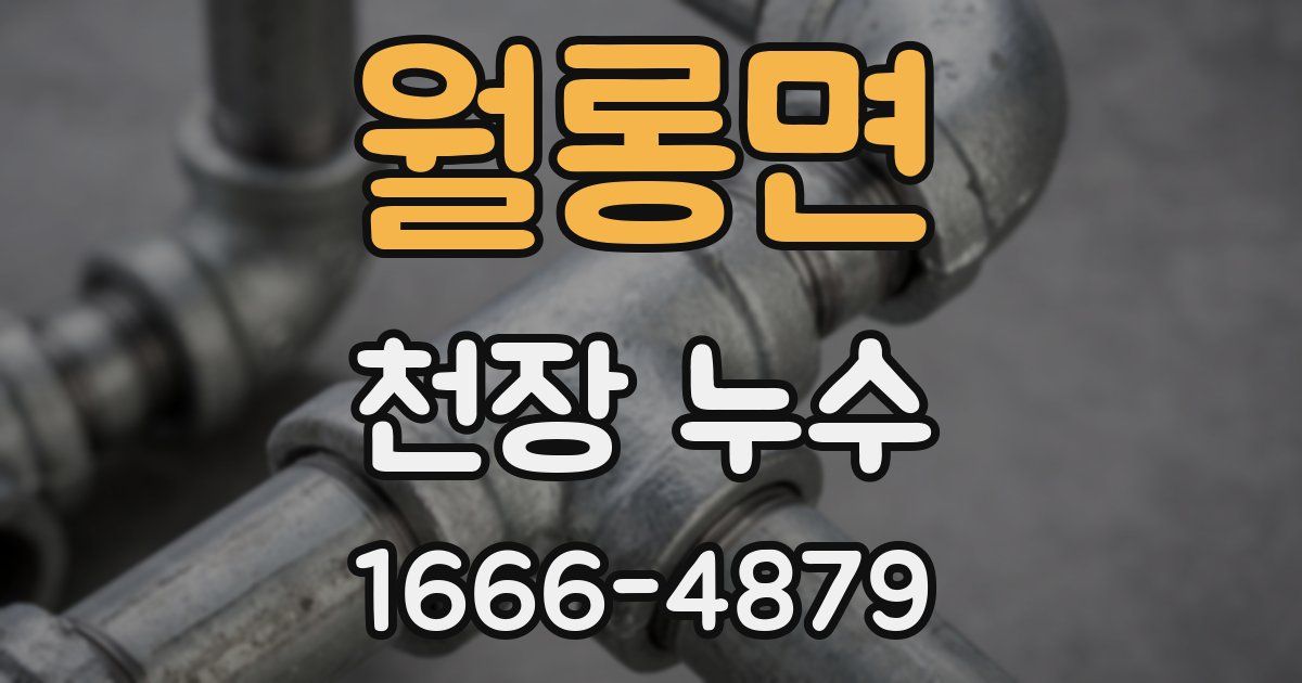 월롱면 천장 누수