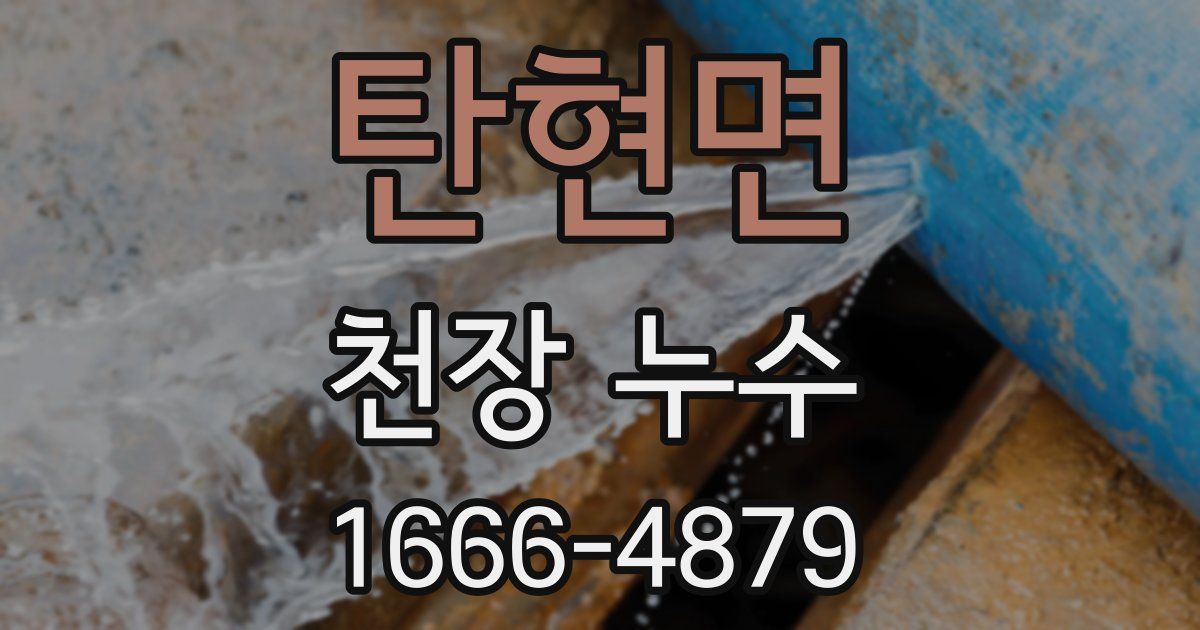 탄현면 천장 누수