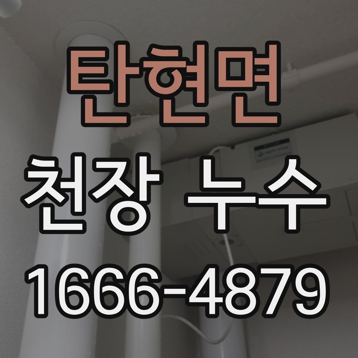 탄현면 천장 누수