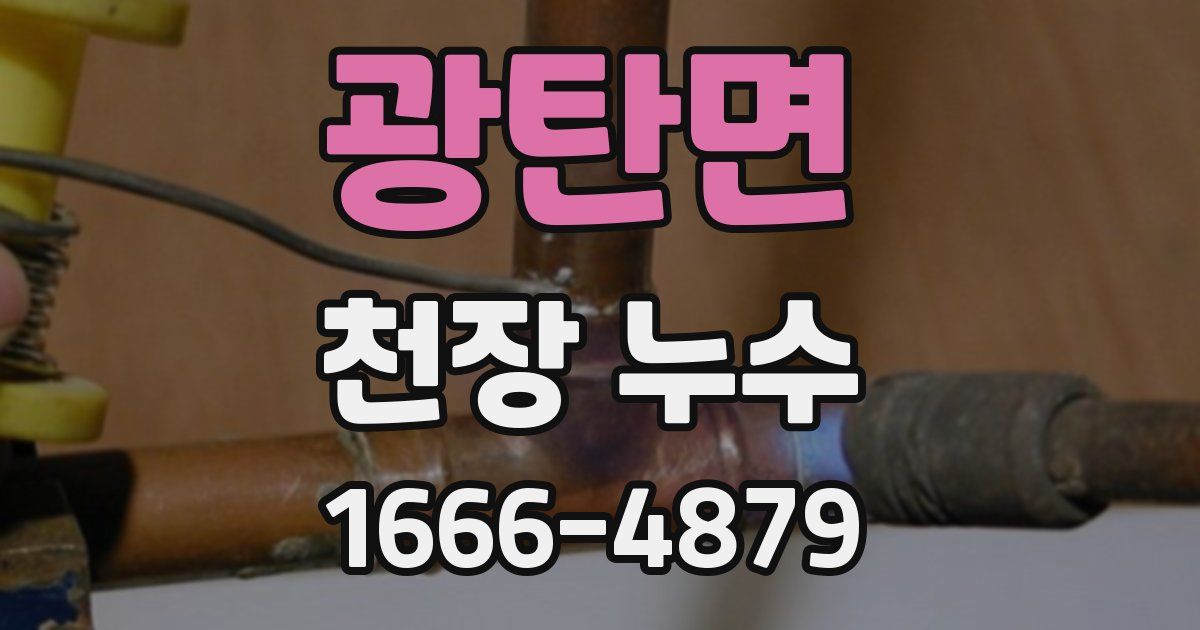 광탄면 천장 누수