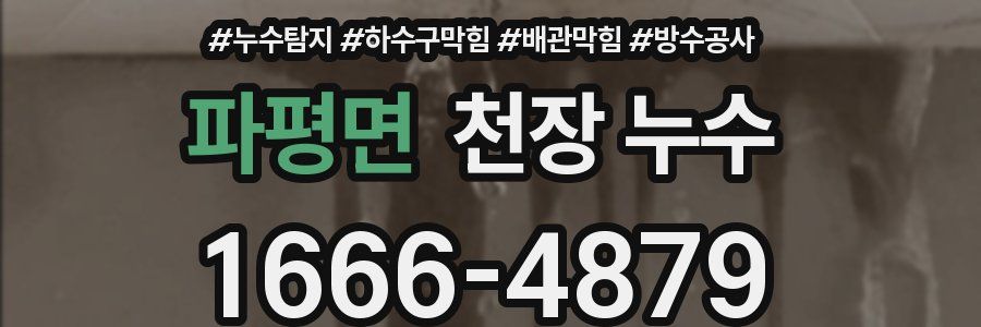 파평면 천장 누수