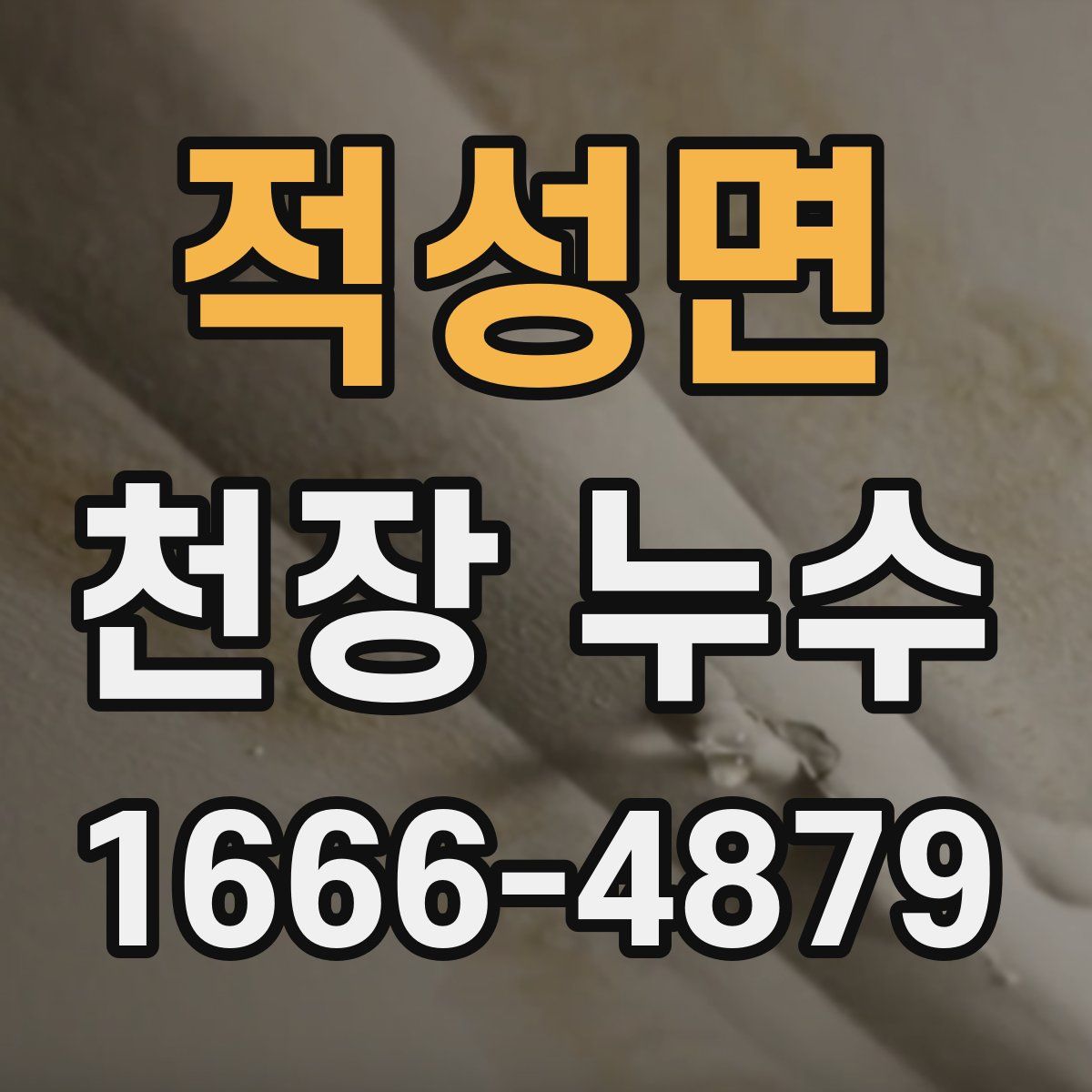 적성면 천장 누수