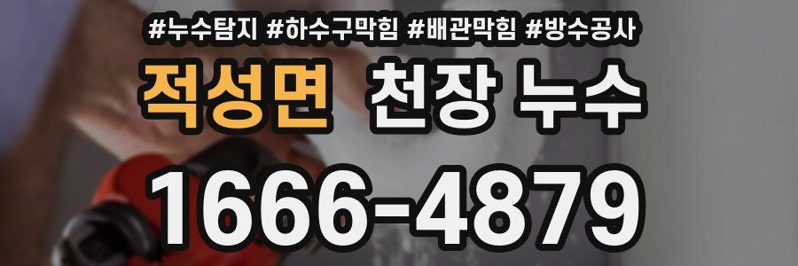 적성면 천장 누수