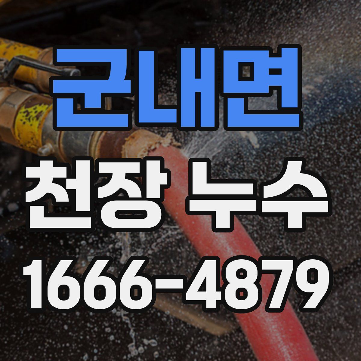 군내면 천장 누수