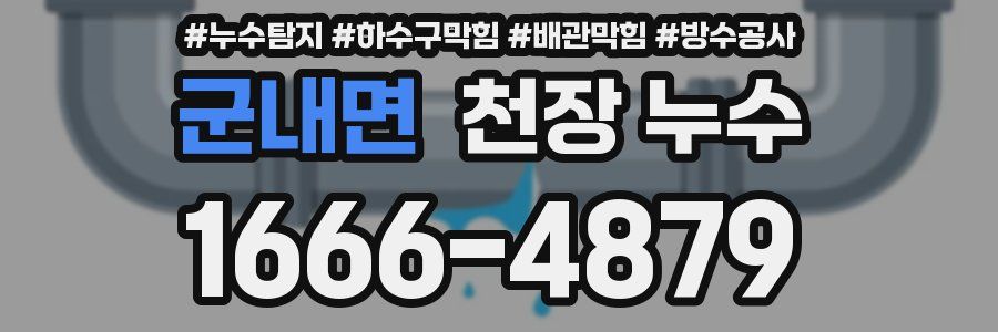 군내면 천장 누수