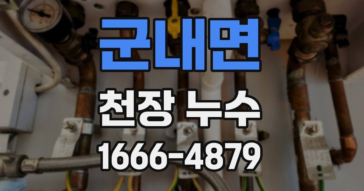 군내면 천장 누수