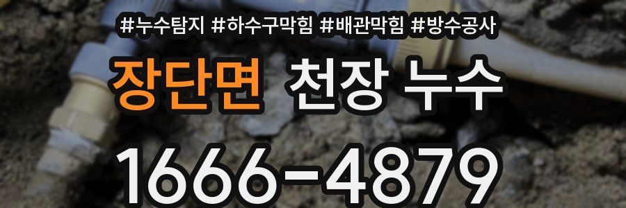 장단면 천장 누수