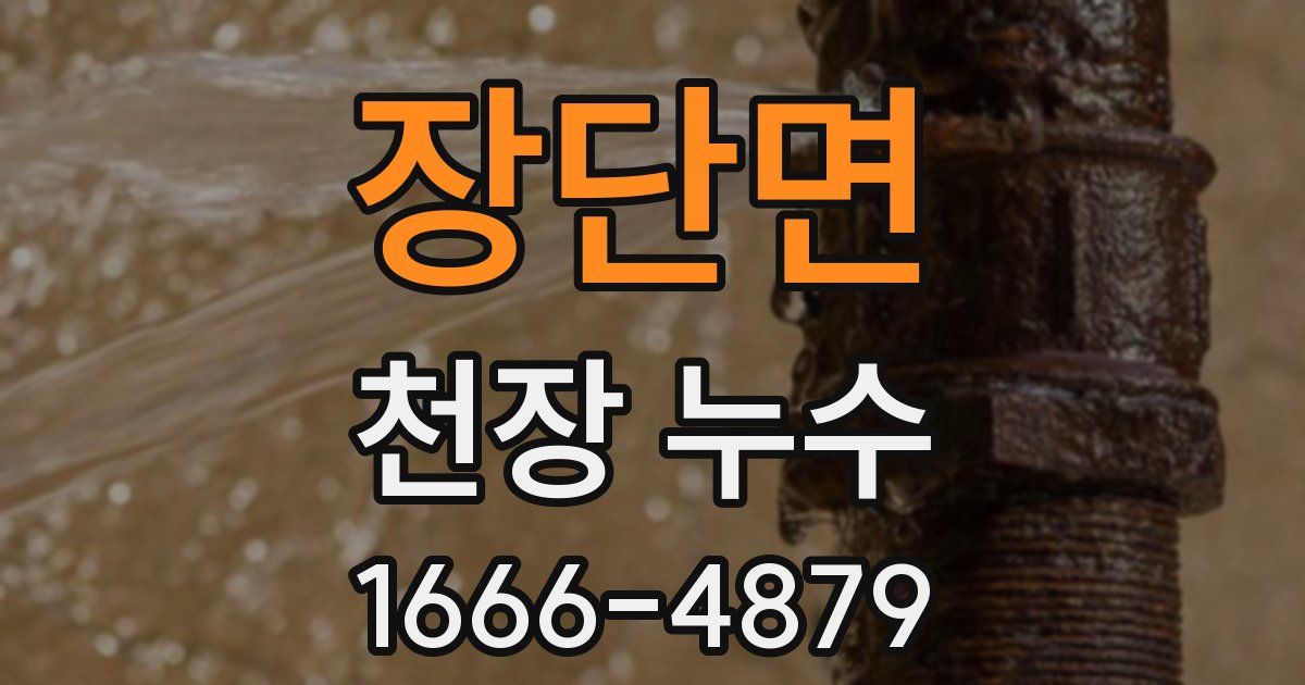장단면 천장 누수