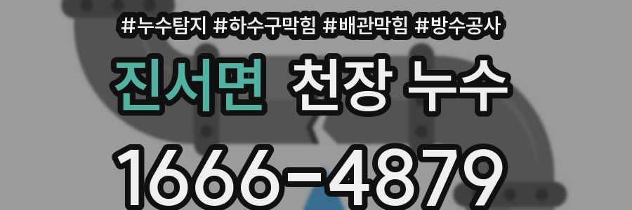 진서면 천장 누수