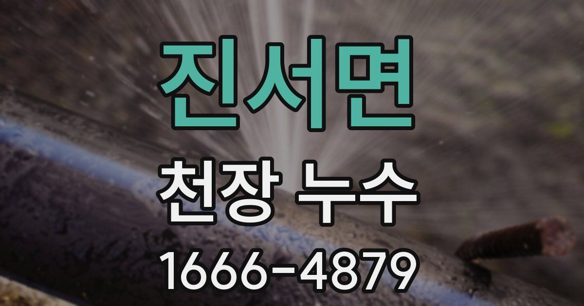 진서면 천장 누수