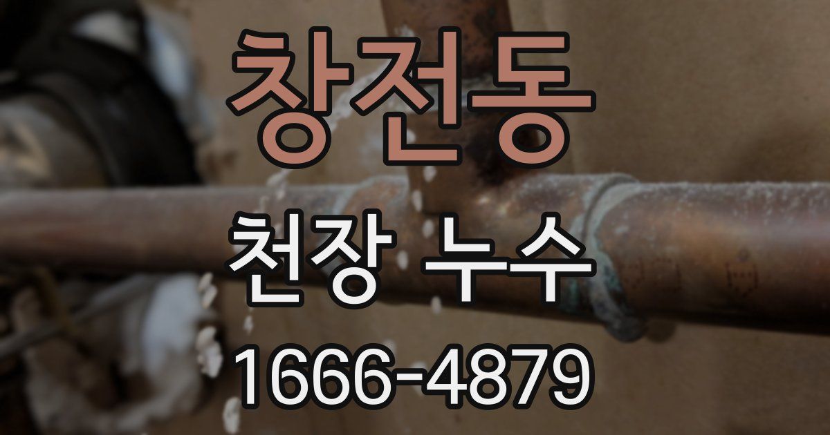 창전동 천장 누수
