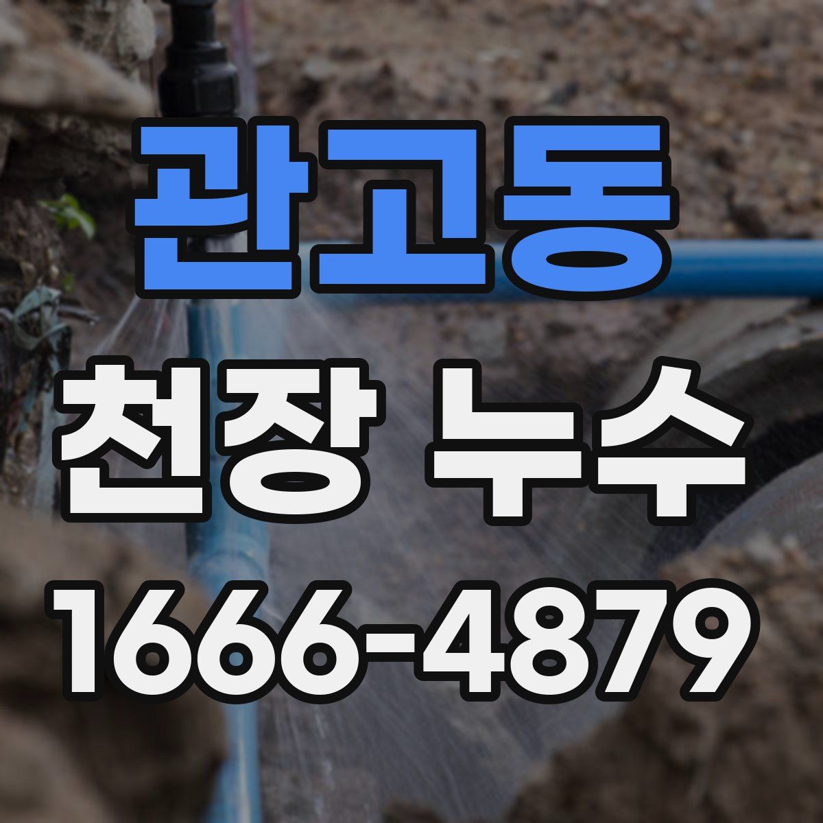 관고동 천장 누수