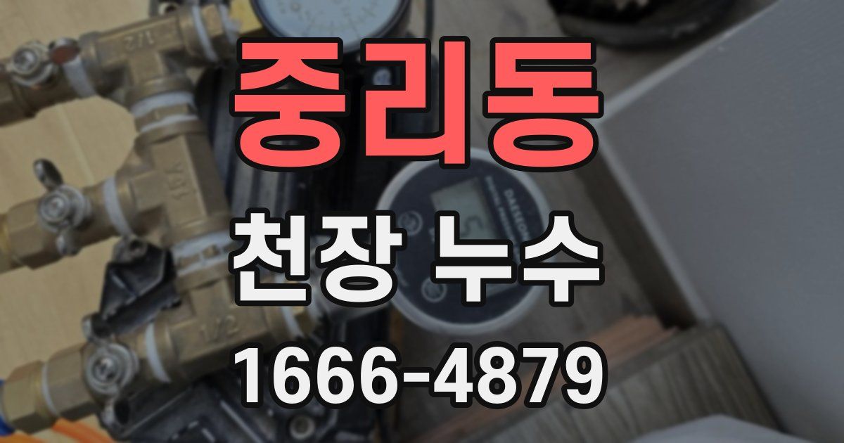 중리동 천장 누수