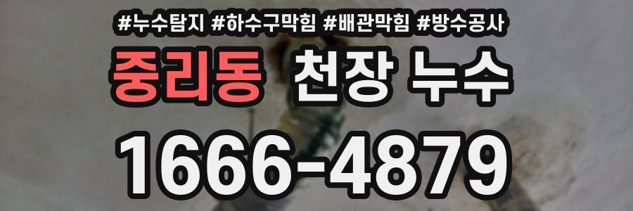 중리동 천장 누수