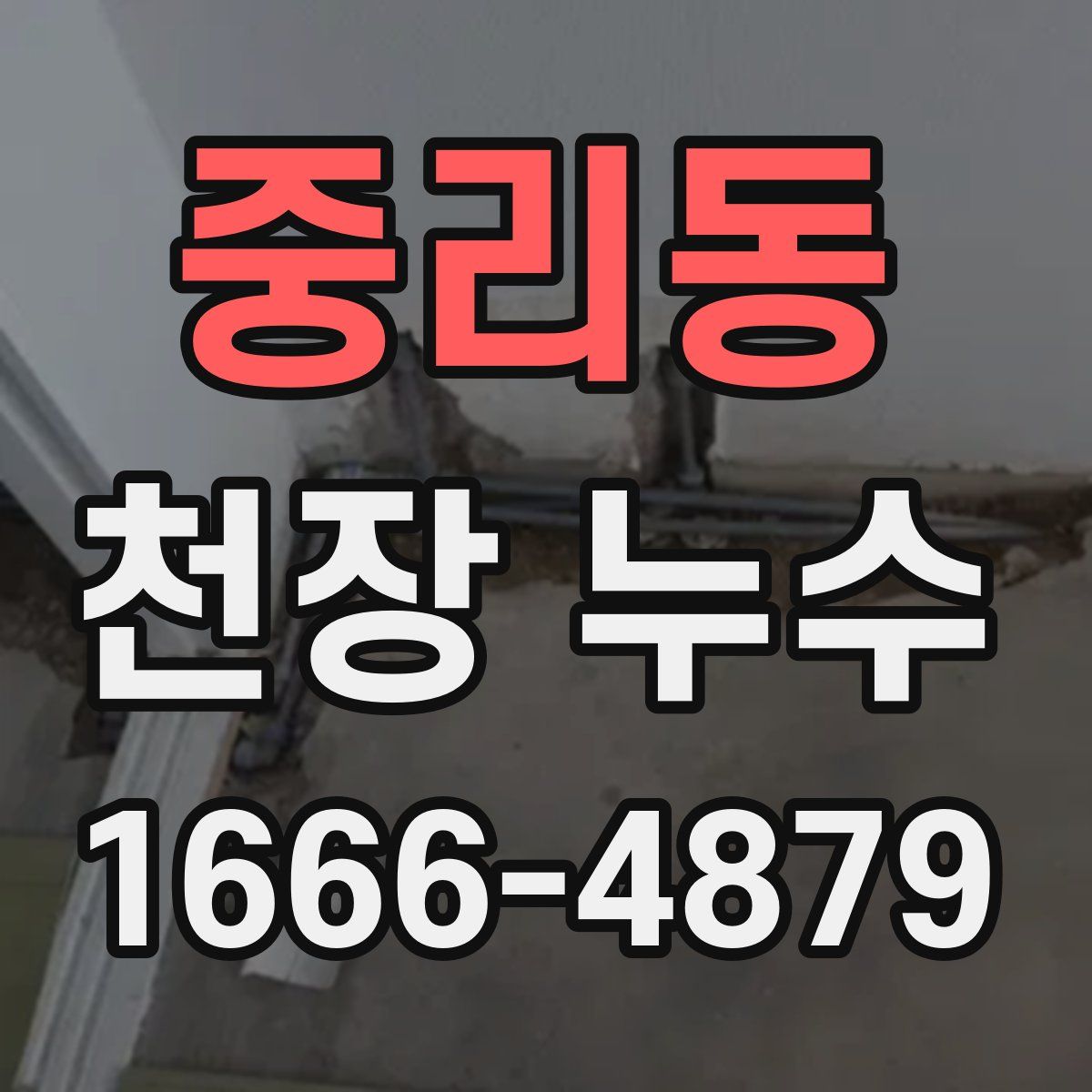 중리동 천장 누수