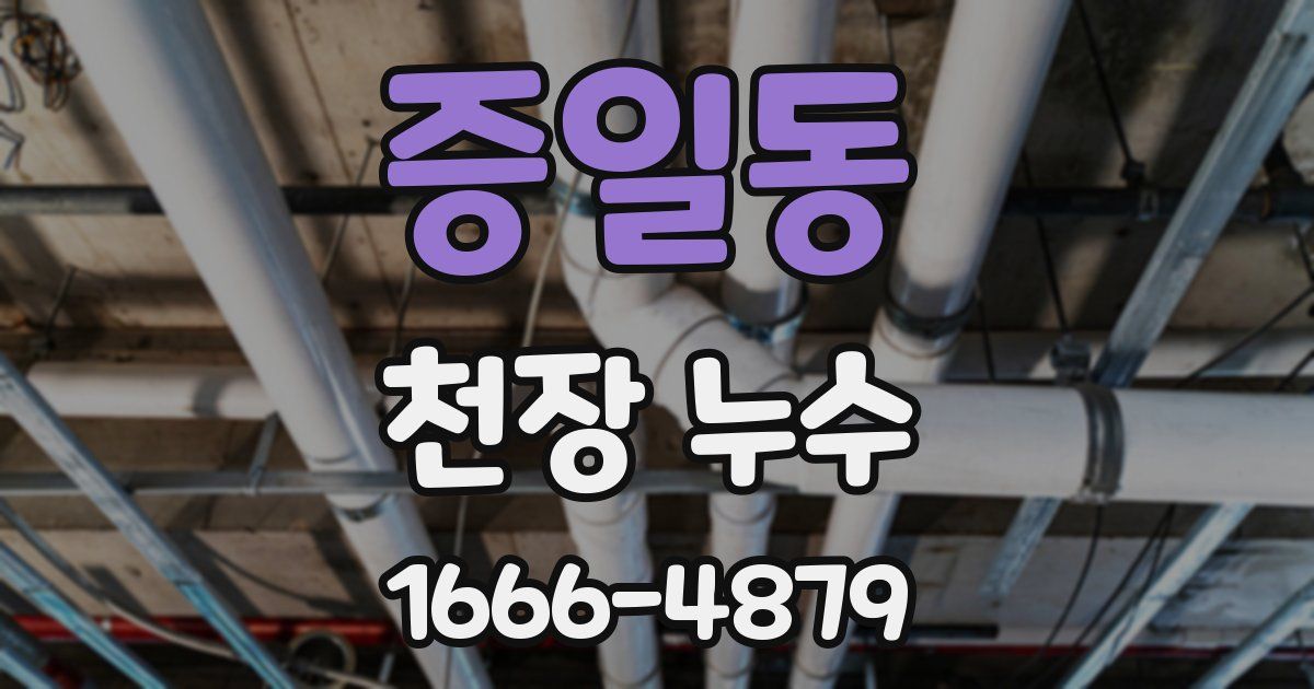 증일동 천장 누수