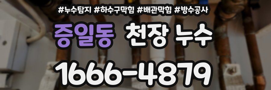 증일동 천장 누수