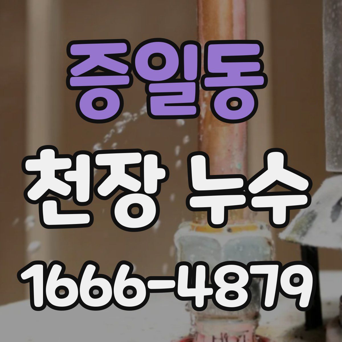 증일동 천장 누수