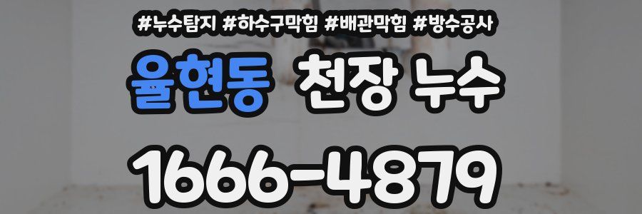 율현동 천장 누수