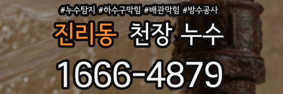 진리동 천장 누수