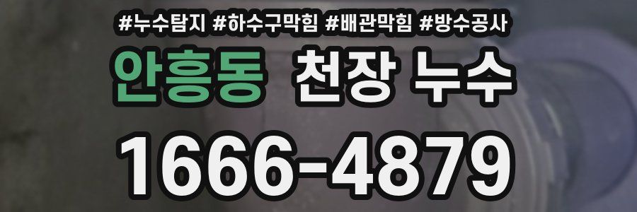 안흥동 천장 누수