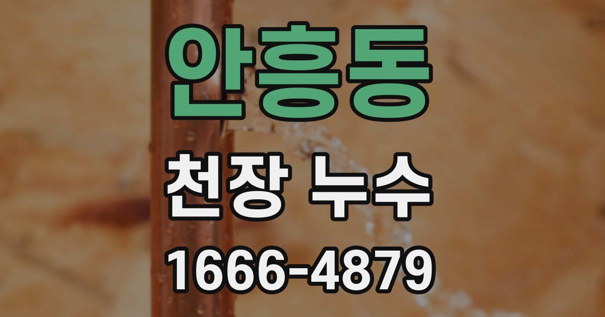 안흥동 천장 누수
