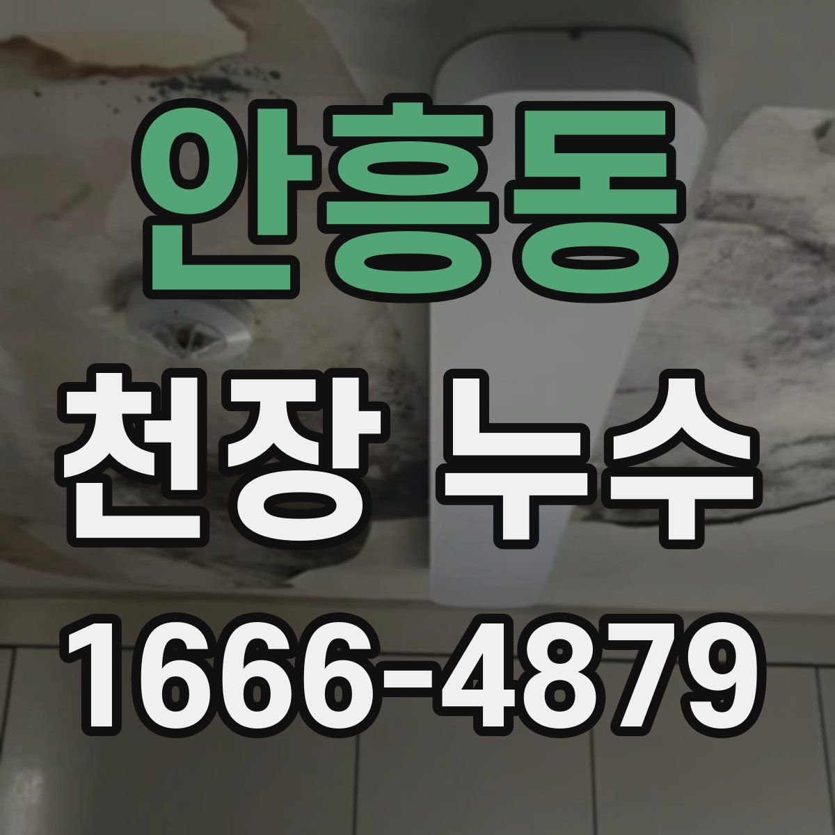 안흥동 천장 누수