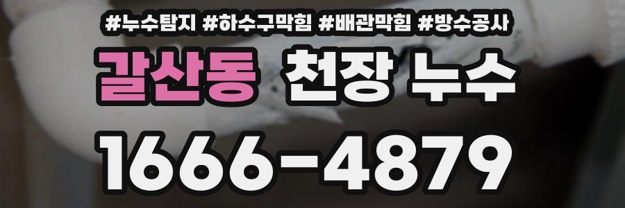 갈산동 천장 누수