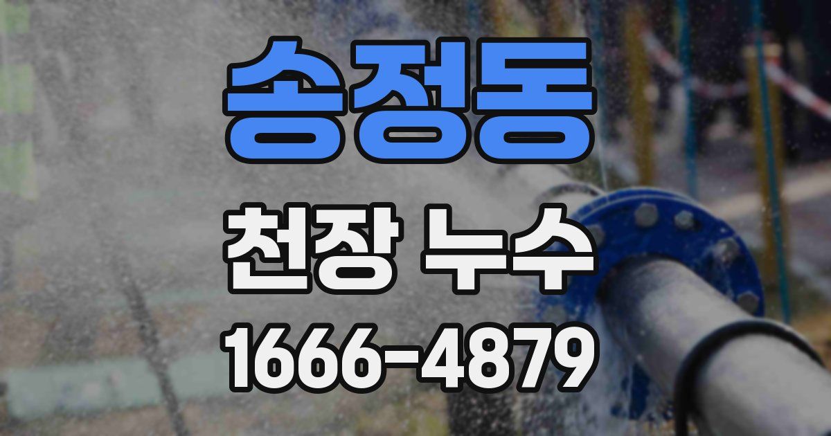 송정동 천장 누수