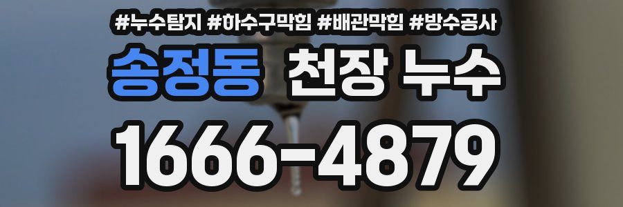 송정동 천장 누수