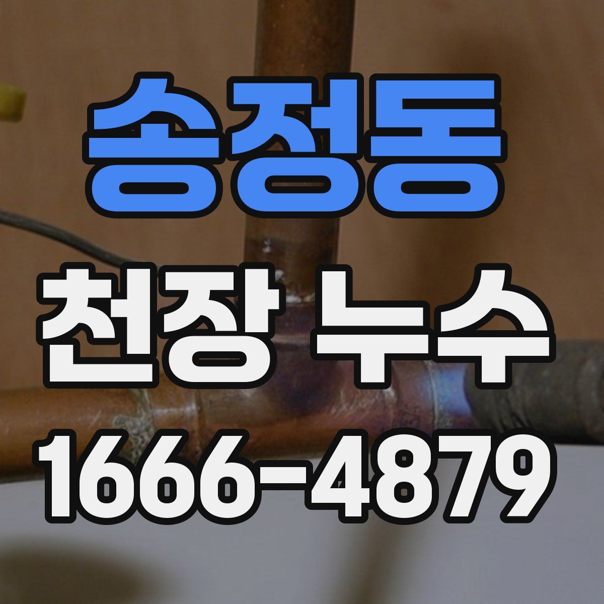 송정동 천장 누수