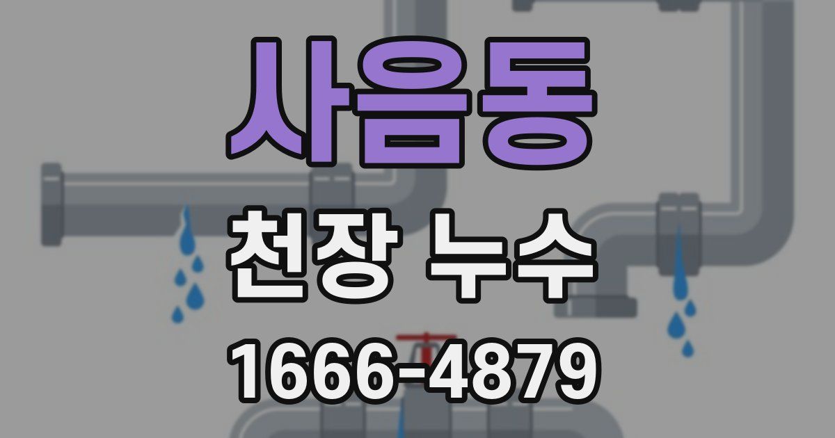 사음동 천장 누수