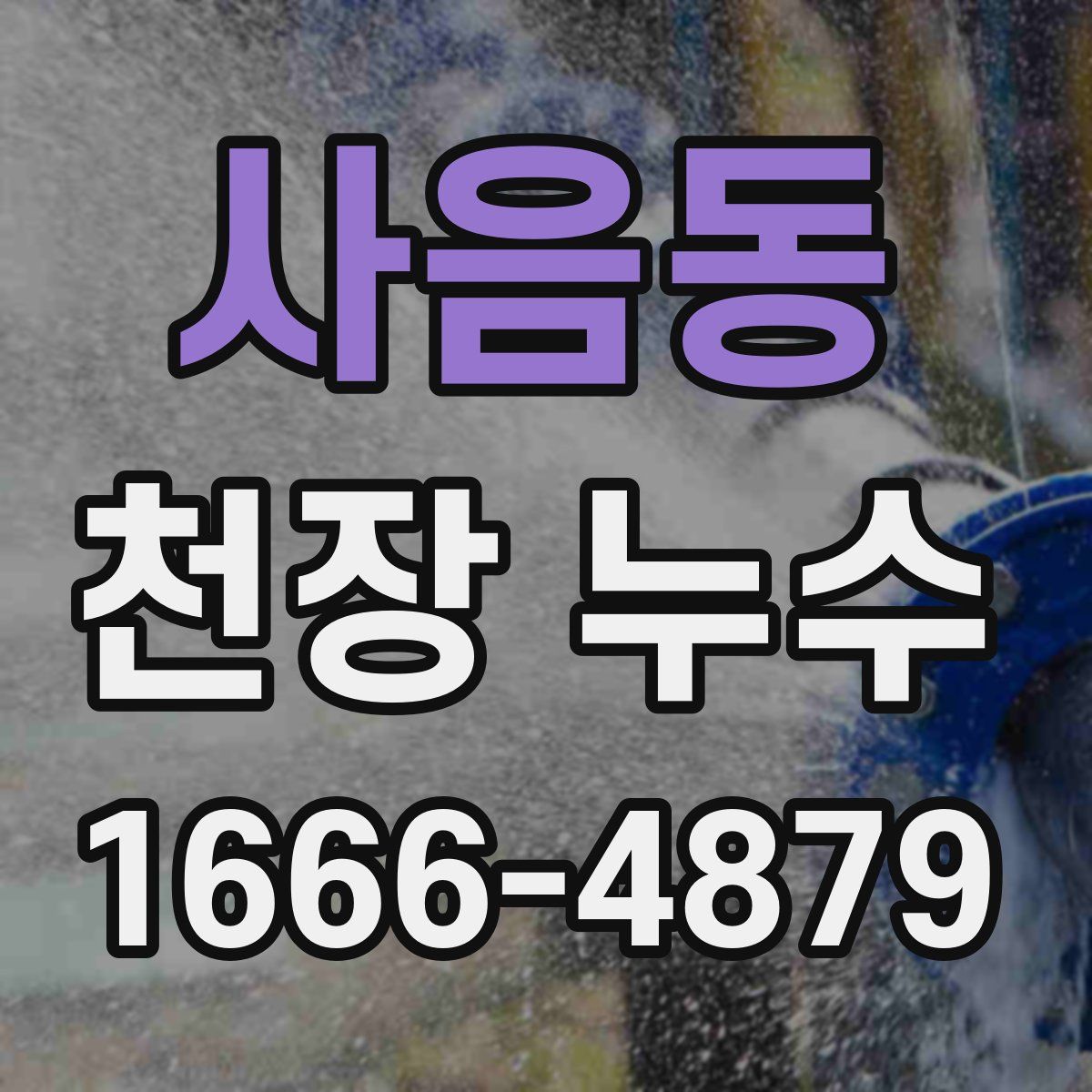 사음동 천장 누수