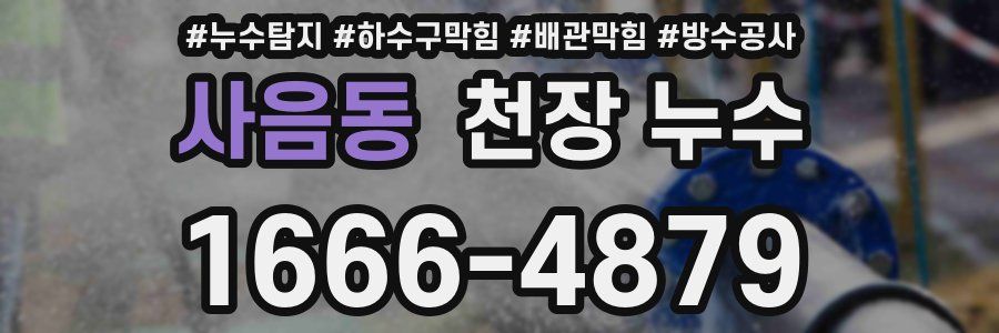 사음동 천장 누수