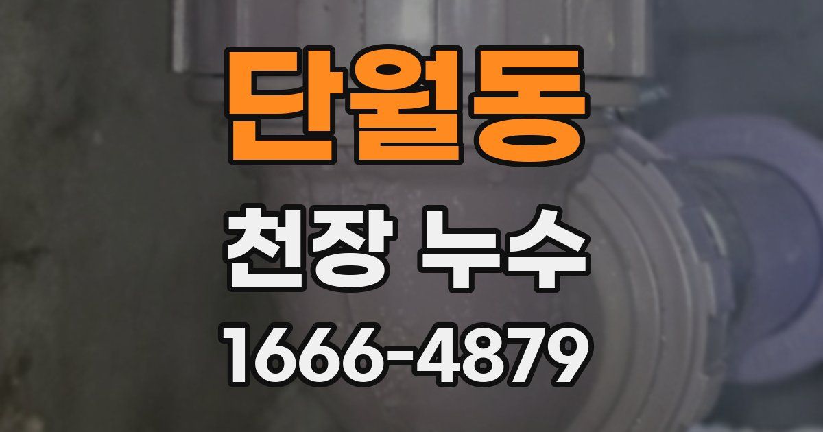 단월동 천장 누수
