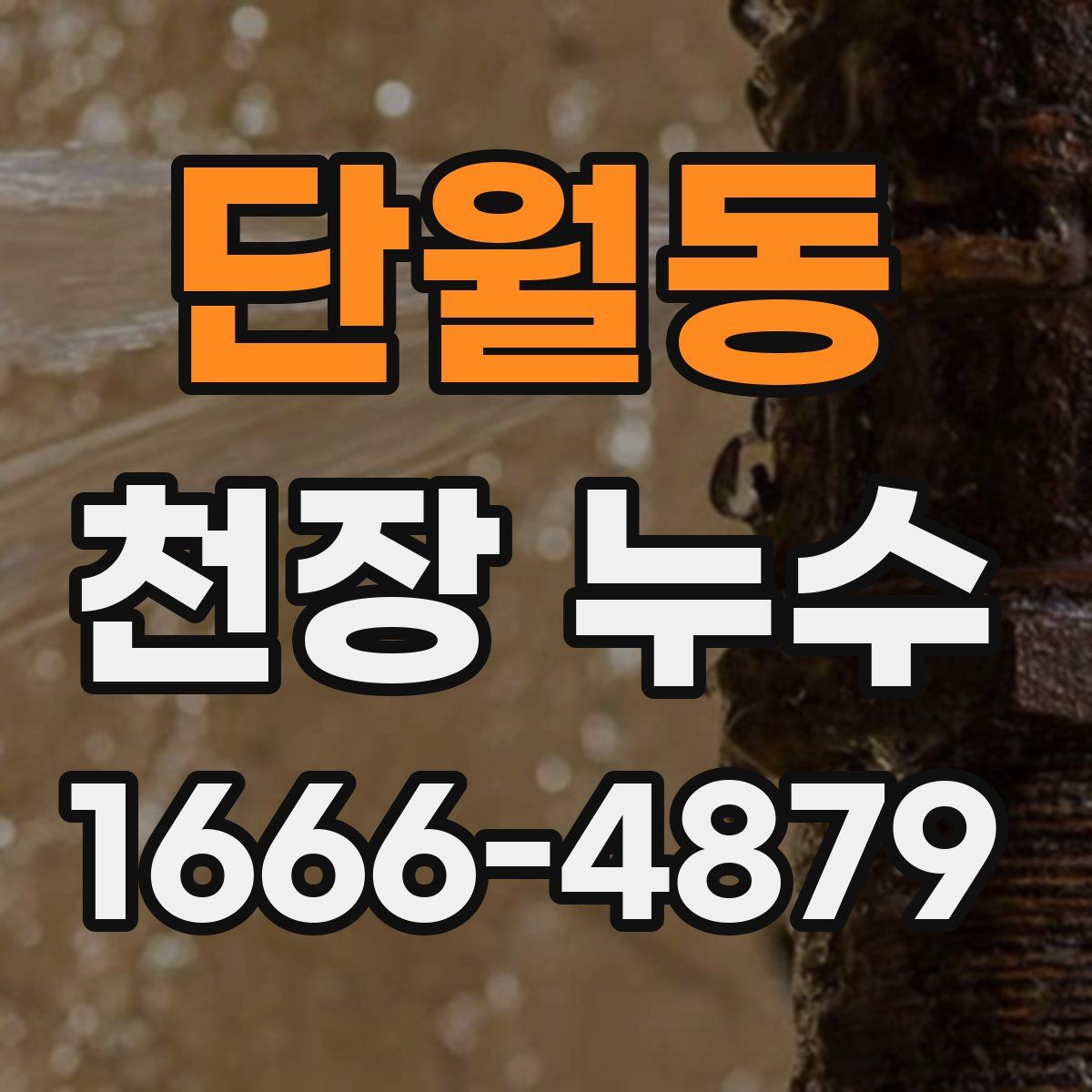 단월동 천장 누수